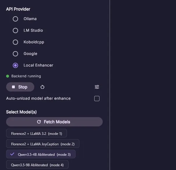 Local Enhancer settings and model selection panel
