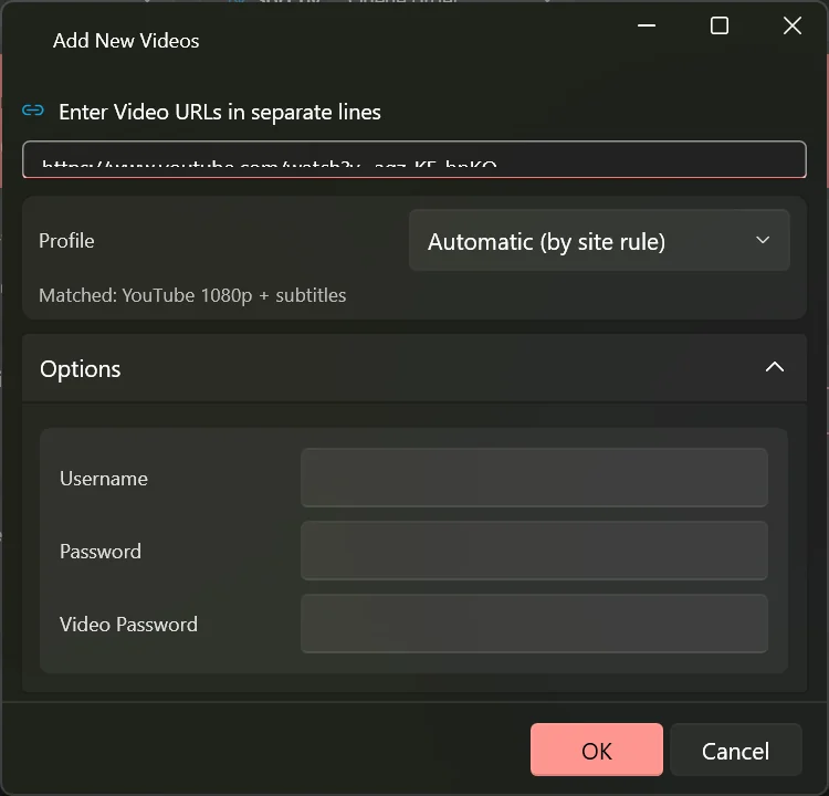 The Add New Videos window with the Options section expanded, showing user name, password and video password boxes.