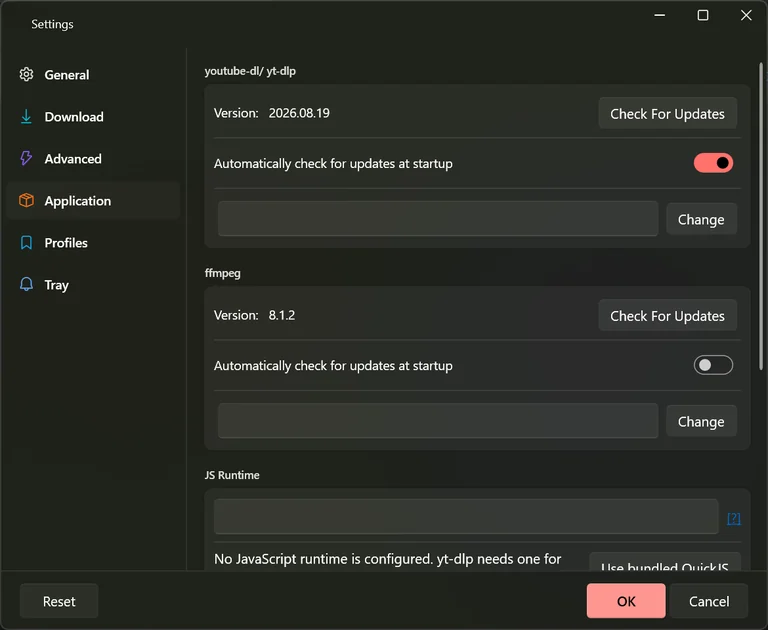 The Application tab with an empty JS Runtime box and a line reading that no JavaScript runtime is configured.